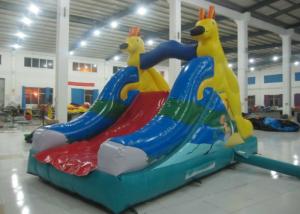 Wholesale Big Party Water Slide Bounce House , Outdoor Games Water Park Little Tikes Water Slide from china suppliers