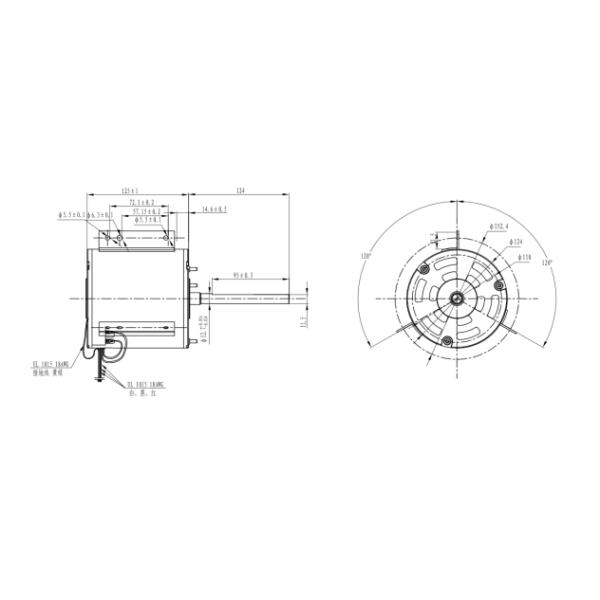 Induction AC motor