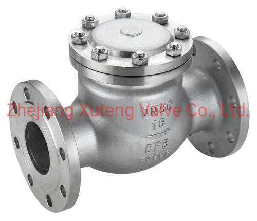 Stainless Steel Swing Check Valve 8481804090 For Industrial Usage