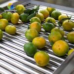 Customization Ozone Sterilization Fruit And Vegetable Processing Line Dry