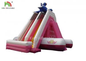 Wholesale Customized Size Pink PVC Tarpaulin Inflatable Water Slide Outdoor Amusement Park For Kids from china suppliers