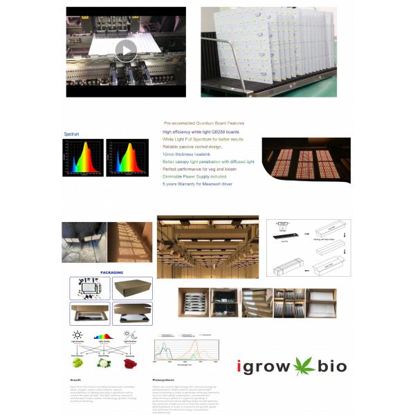 High PPFD CE IP65 Dimmable LED Grow Lights