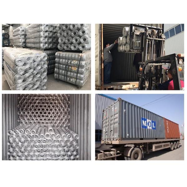 Hot Dipped Galvanized Tightlock Wire Mesh Security Fence Netting For Deer Fence