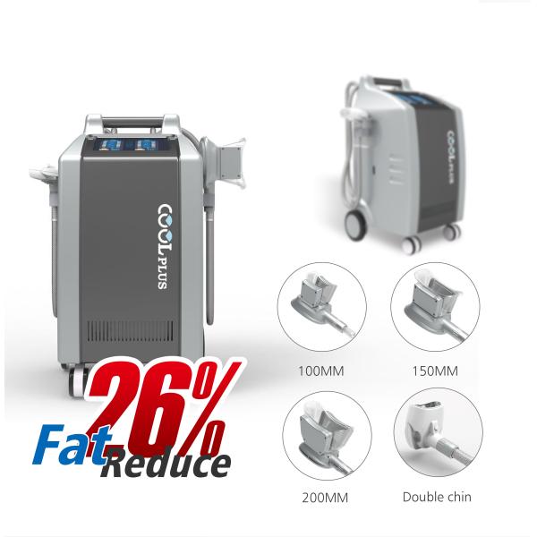 4 Handles Double Channel Cryolipolysis Fat Freezing Machine