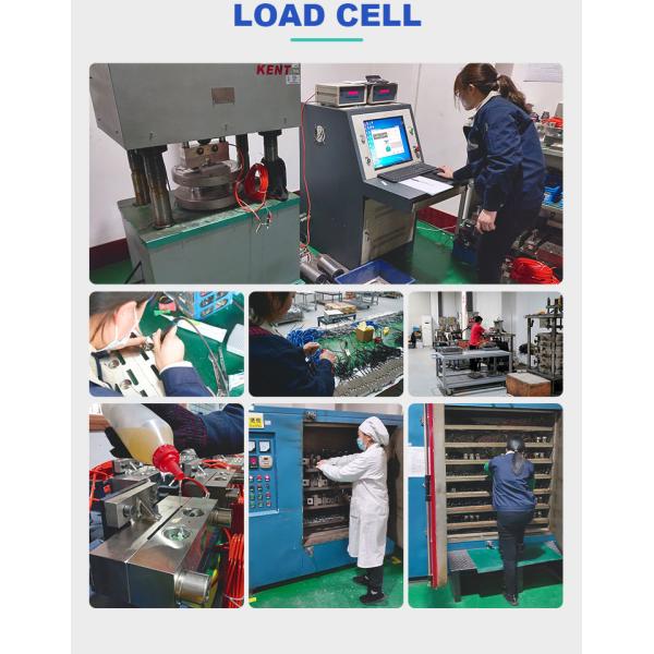 Peel Features High Precision Industry Platform Floor Scale Pallet Truck Scale for Animal -10- 40C