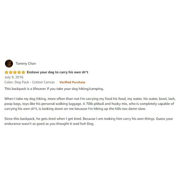 Hiking Gear 2 in 1 Detachable Saddle Bag Dog Backpack