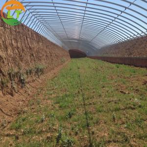 High Strength Solar Agricultural Greenhouses with Easy Assembly and Greenhouse