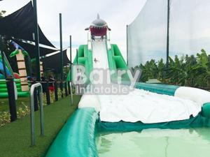 Wholesale Professional Hippo Giant Inflatable Water Slide Customized Size With Water Pool from china suppliers