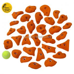 China Gecko King 30pcs Xs Size Indoor Rock Climbing Wall Screwons For Adults on sale