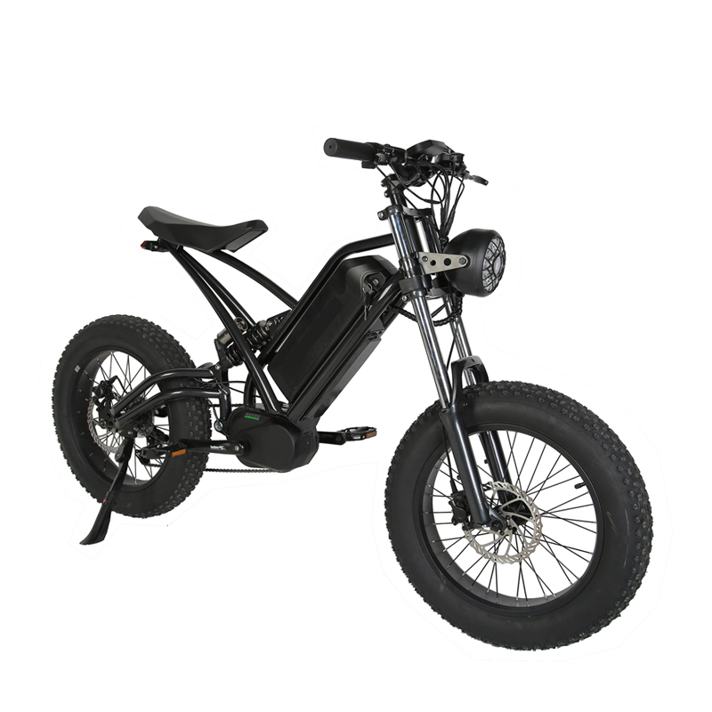 LCD Display 20" Mid Drive Electric Bike with 48v 750w Motor and Customized Fat Tire
