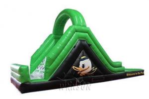 Wholesale Green Color Large Inflatable Slide With Pool WSS-247 PVC Material CE Standard from china suppliers