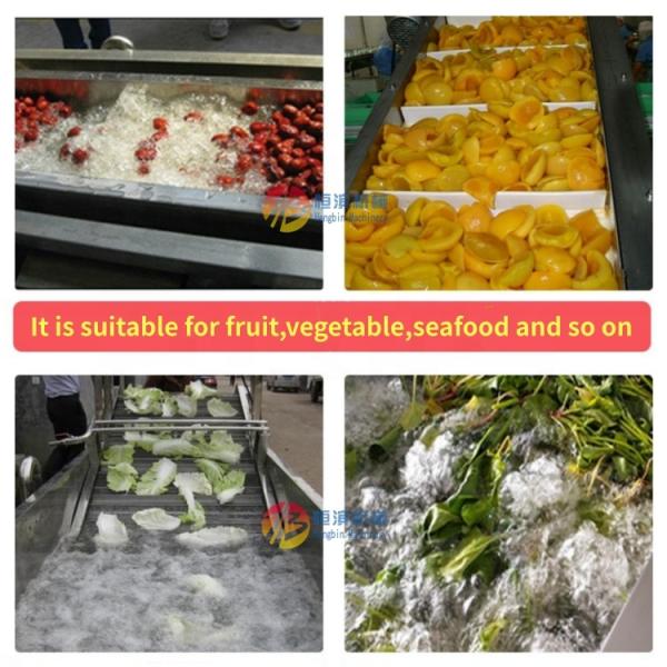 Superior Performance Air Bubble Washing Machine for Vegetable Fruit Seafood Plant