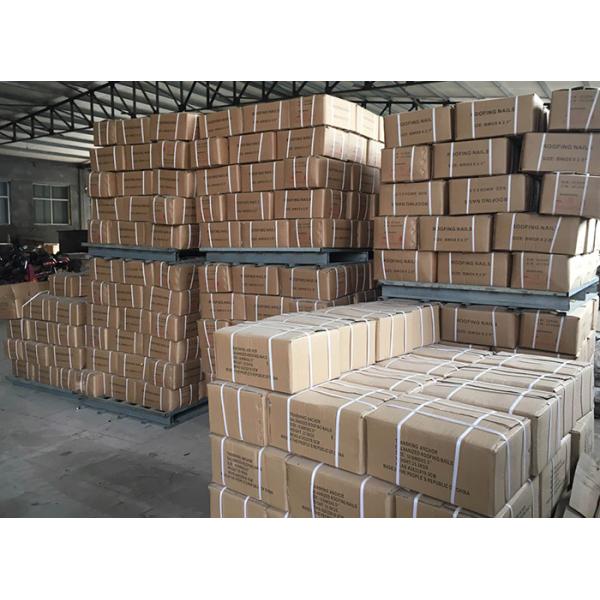 Umbrella Head Galvanized Roofing Nails , Twisted Shank And Plain Shank Roofing Nails