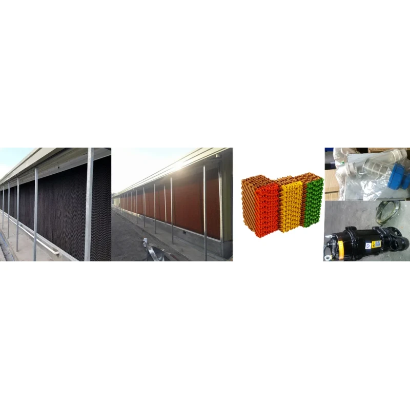 Light Column Construction Poultry House with Low Price Steel Structures