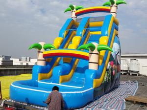 Wholesale Kids Inflatable Water Slide from china suppliers