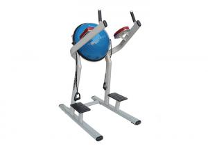 Wholesale Lifetime Fitness Workout Equipment / Chin Dip Leg Raise With Bosu Ball Machine from china suppliers