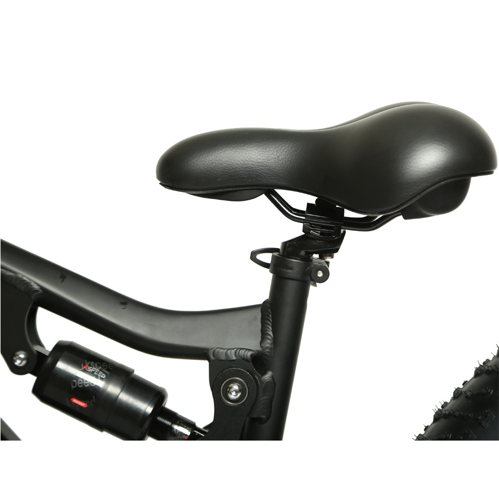 Customized Electric Bicycle 48v 500w Full Suspension E Bike with 13 AH Down Tube Battery
