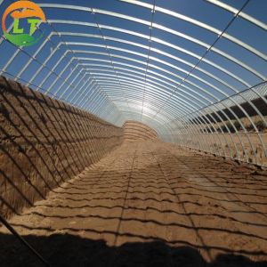 Wholesale Hydroponic System Included High Strength Solar Greenhouse for Vegetable Fruits Flowers from china suppliers