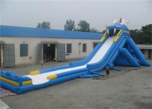 Wholesale Outdoor Adult Giant Inflatable Water Slide , Massive Inflatable Slide For Amusement Park from china suppliers