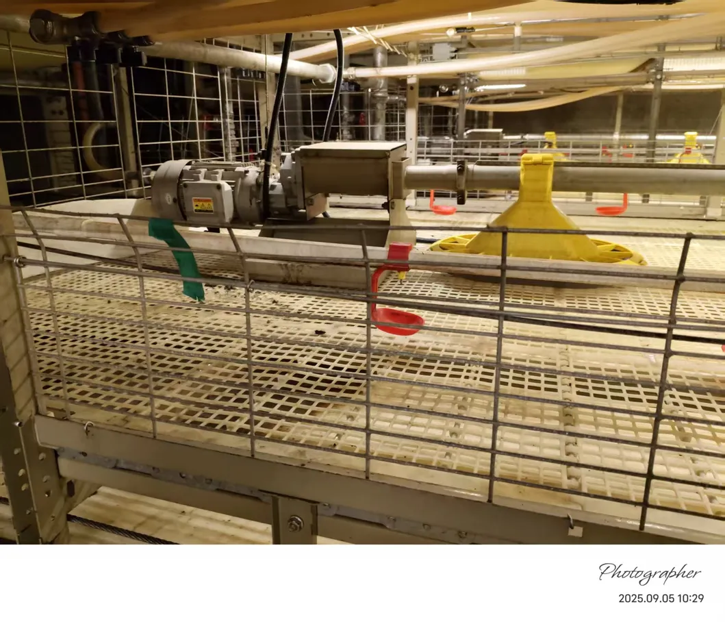 Hot Dipped Galvanized Chicken Broiler Cage Automatic Cage System For Broiler Chicken
