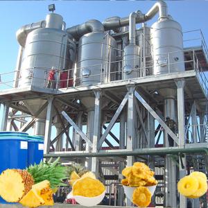 Wholesale PLC 20T/H 440V Aseptic Bag Pineapple Processing Line from china suppliers