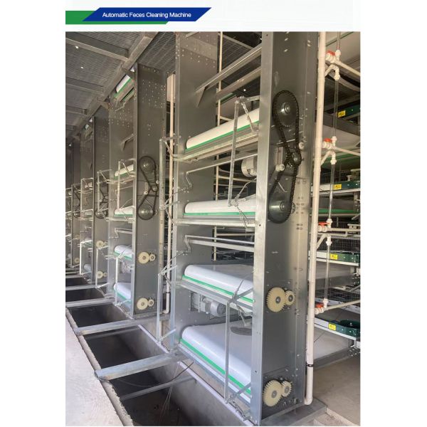 Automatic Poultry Equipment with Hot-dip Galvanized Steel for 50-Year Service Life and Customized Dimensions