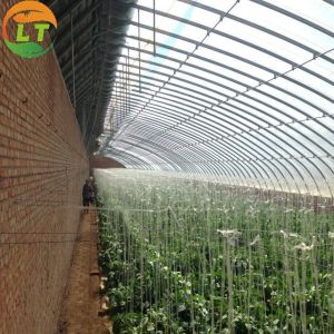 Wholesale High Strength Solar Agricultural Greenhouses with Easy Assembly and Greenhouse Benches from china suppliers