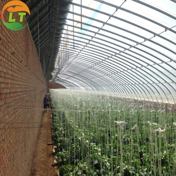 High Strength Solar Agricultural Greenhouses with Easy Assembly and Greenhouse