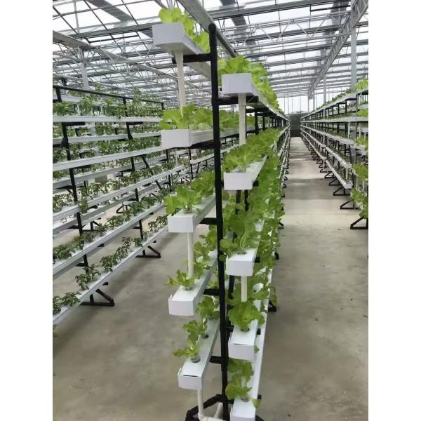 Factory outlet hydroponic system multi-layers growing system save water and eazy growing