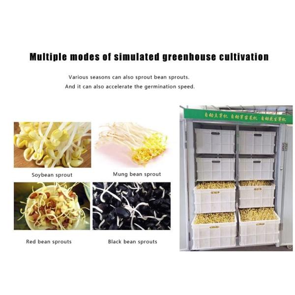 Full Automatic Fodder Growing Systems Hydroponic Automatic Sprouting Machine
