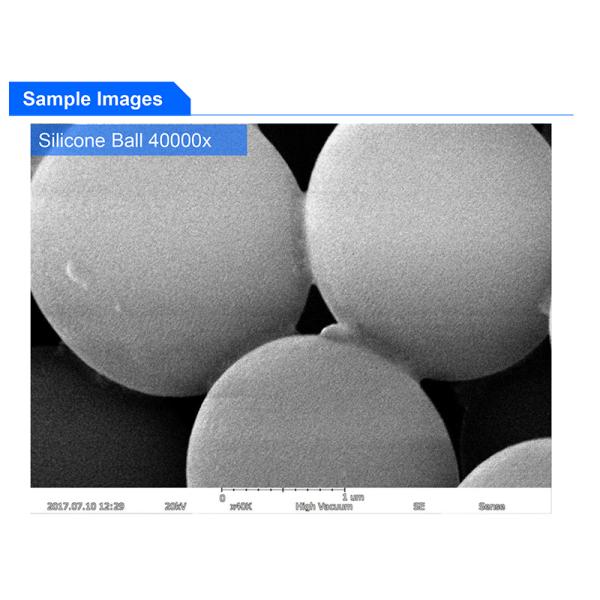 A63.7015 Tungsten Filament Scanning Microscope 20x~150000x