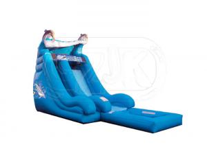Wholesale Dolphin 16 Foot Water Park Inflatable Pool Slide / Air Water Slide Pool from china suppliers