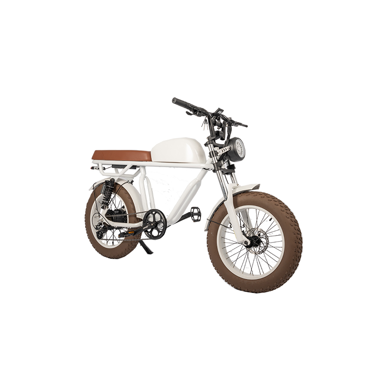 Retro Vintage E-Bike with 500W Bafang Rear Hub Motor Electric Bike OEM Wholesales Bike