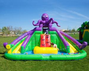 Wholesale Octopus Jumping Bouncer Inflatable Bounce House With Water Slides from china suppliers