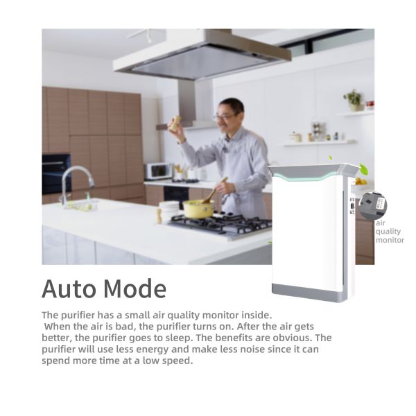 HOMEFISH H11 HEPA Negative Ion UV Air Purifier With PM2.5 Display