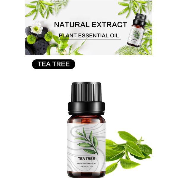 Pure Bulk Tea Tree Essential Oil 10ml Diffuser Aromatherapy Essential Oil COA