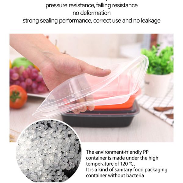Leak Proof Plastic Food Storage Boxes Disposable Take Away Packaging