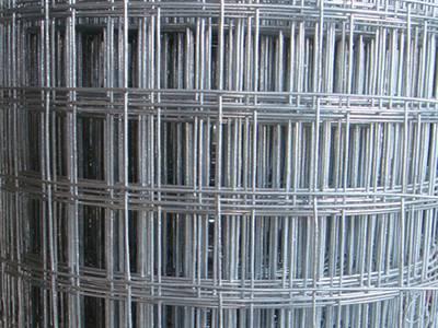 HGW-01: Hot-Dipped galvanized welded wire mesh roll