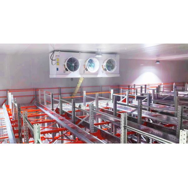 Four-Way Shuttle Pallet ASRS Cold Storage Warehouse Automatic Storage and Retrieval System Pallet Runner Racking