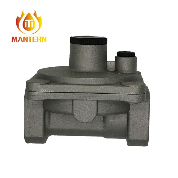 Small Size DN20 Gas Pressure Regulator 0.5 Bar - 5 Bar Inlet Pressure