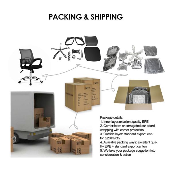 Staff Office Adjustable Mesh Ergonomic Computer Chair with Lumbar Support