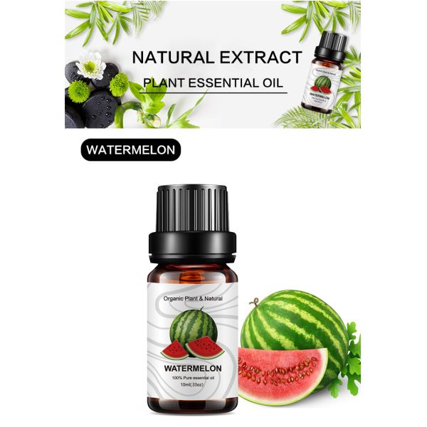 OEM Watermelon Essential Oil Aromatherapy For Diffuser Custom 100% Pure