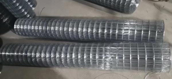 galvanized welded wire mesh rolls