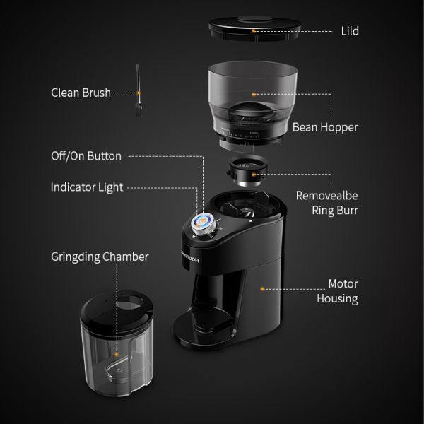 Touchscreen Professional Burr Grinder LED Light Automatic With Removable Bean Hopper