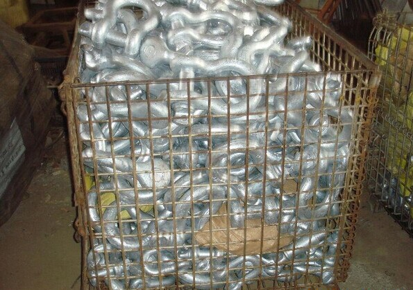 bolt type for Shackles