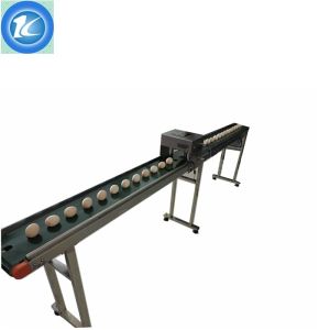 High Resolution Batch Number Printing Machine Small Characters Exclusively