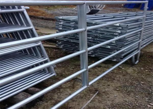 Quality Livestock galvanized cattle panels 2*2.1m portable gate panels silver color for sale