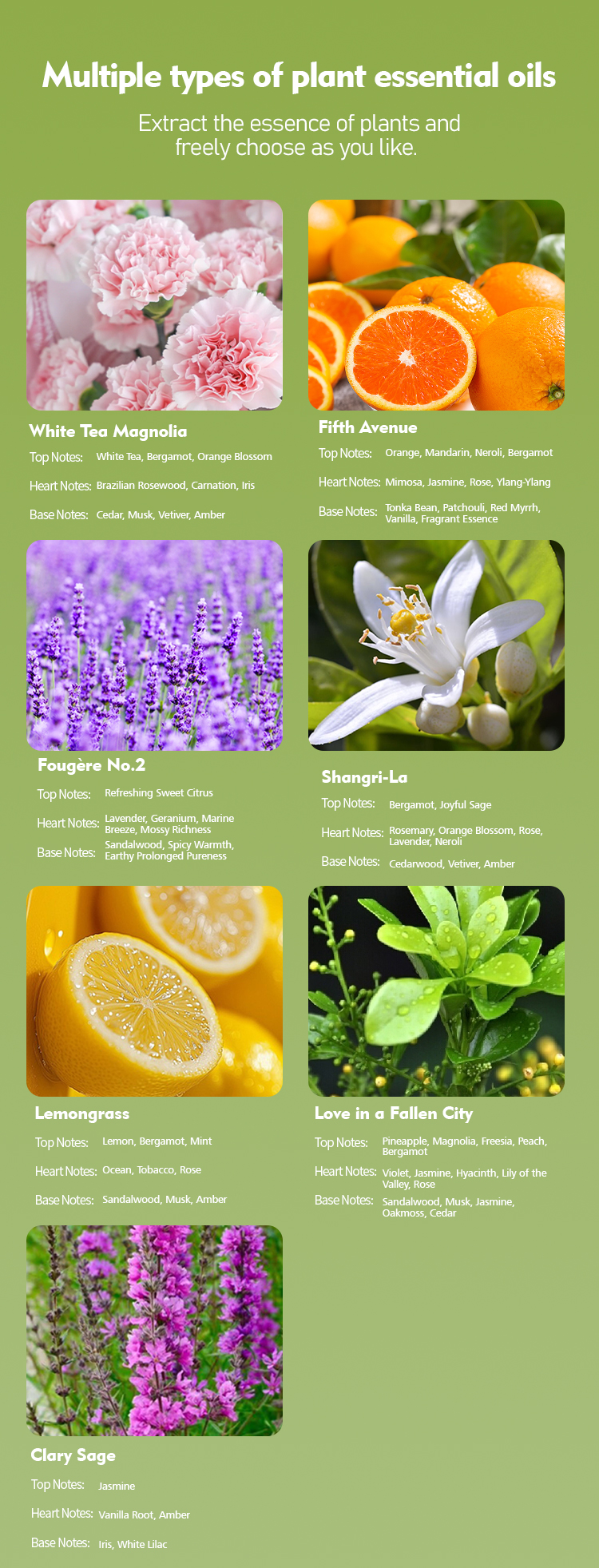 Eco Friendly Aromatherapy Box Wall Mounted 10 - 50 Ml Capacity Long Lasting Aroma Diffuser