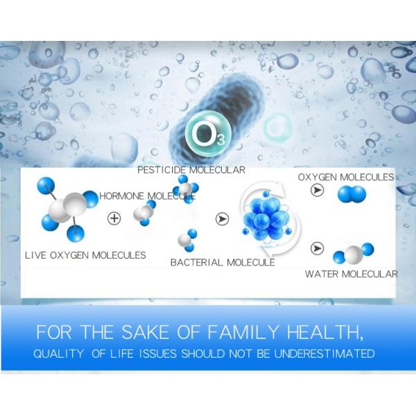 HOMEFISH Commercial Air Purifier Kitchen Use Active Oxygen Fruit And Vegetable Sterilizing Machine 400mg/H