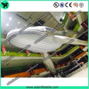 Wholesale Giant Inflatable Whale, Event Inflatable Whale,Inflatable Whale Replica from china suppliers